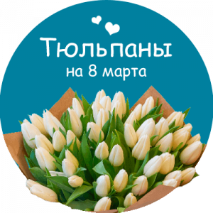Купить тюльпаны в Шенкурске